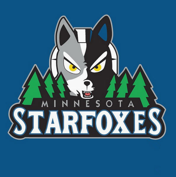Minnesota Starfoxes logo DIY iron on transfer (heat transfer)